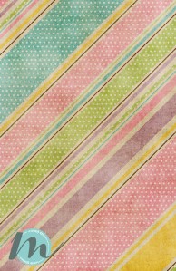 FB_Final_PrayerBookCover_Stripes_Final