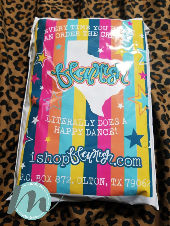 71290976_10217804255252289_510424487666122752_o